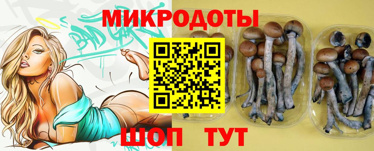 Красноармейск  Псилоцибиновые грибы Psilocybine cubensis  Вход с VPN  Псилоцибиновые грибы Psilocybe 
