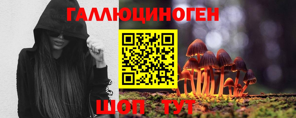 Псилоцибиновые грибы Cubensis Красноармейск